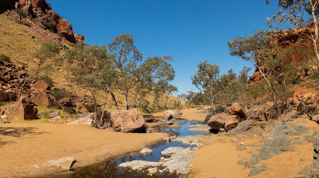 Simpsons Gap featuring desert views and a river or creek