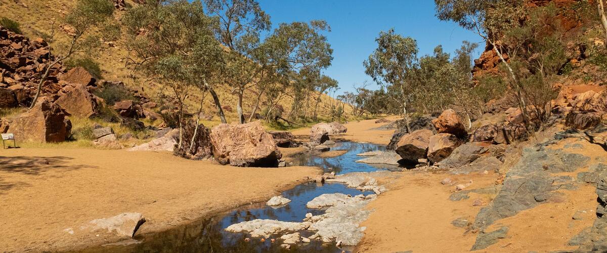 A dry riverbed with scattered rocks and sparse vegetation under a clear blue sky.
