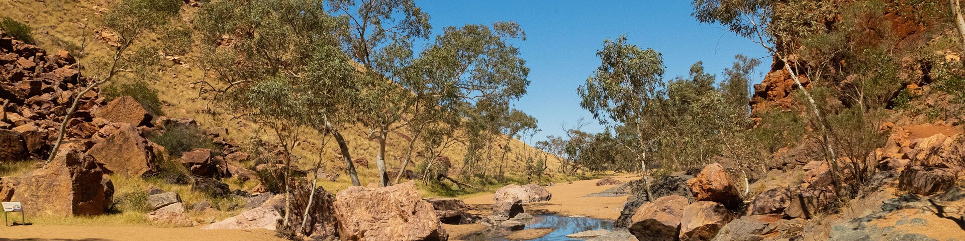 A dry riverbed with scattered rocks and sparse vegetation under a clear blue sky.
