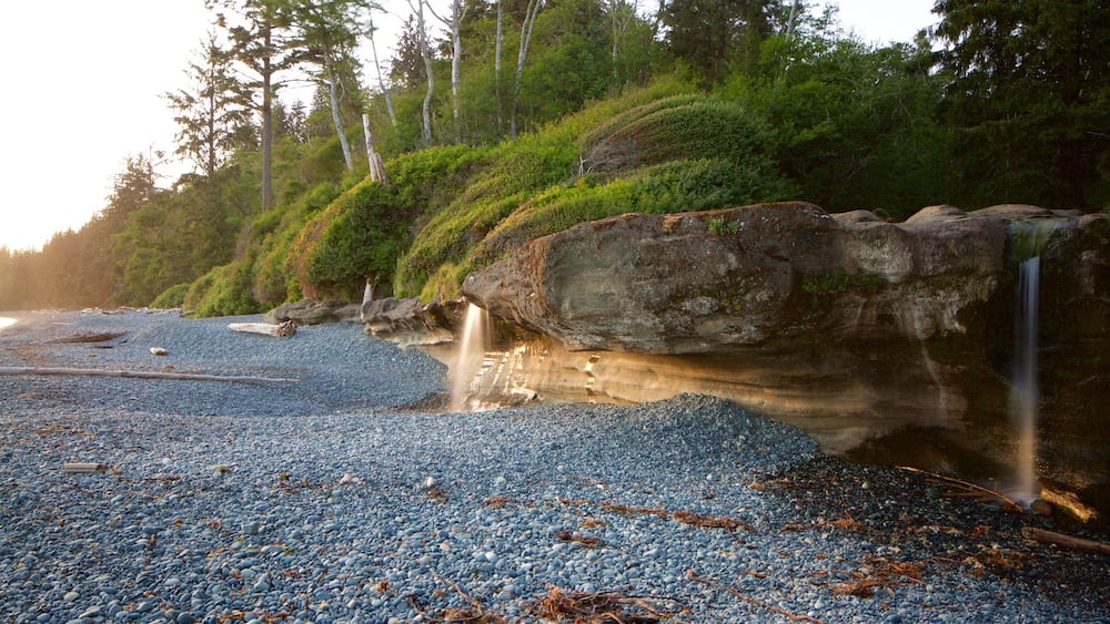 Une plage de galets avec une cascade et une colline boisée.
