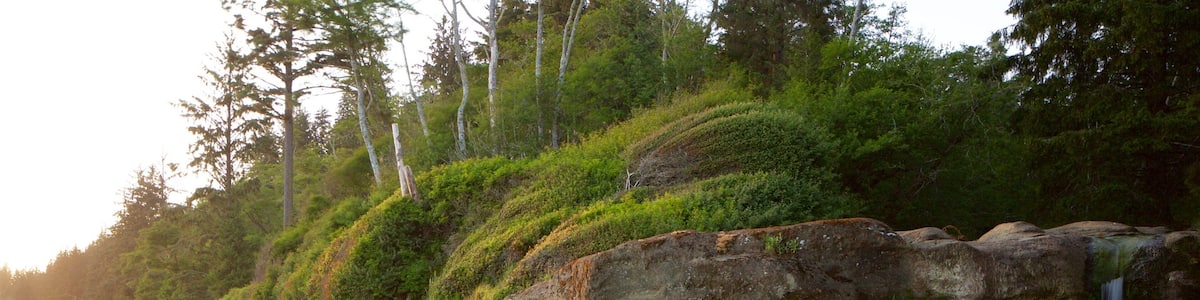 Une plage de galets avec une cascade et une colline boisée.
