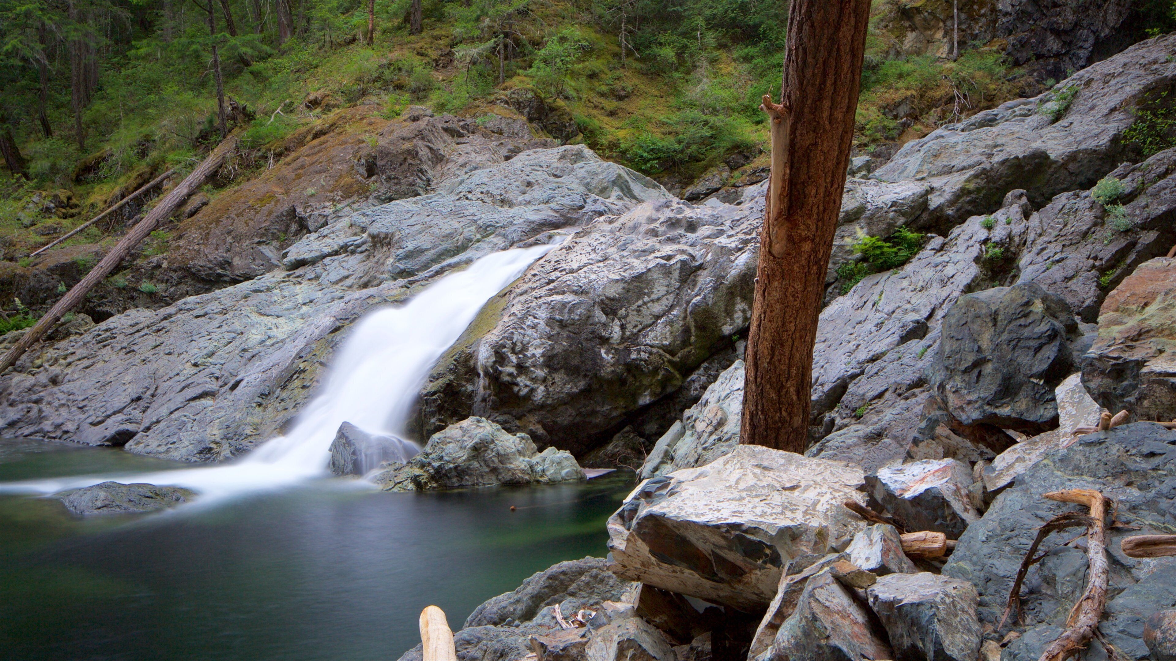 Sooke showing a river or creek