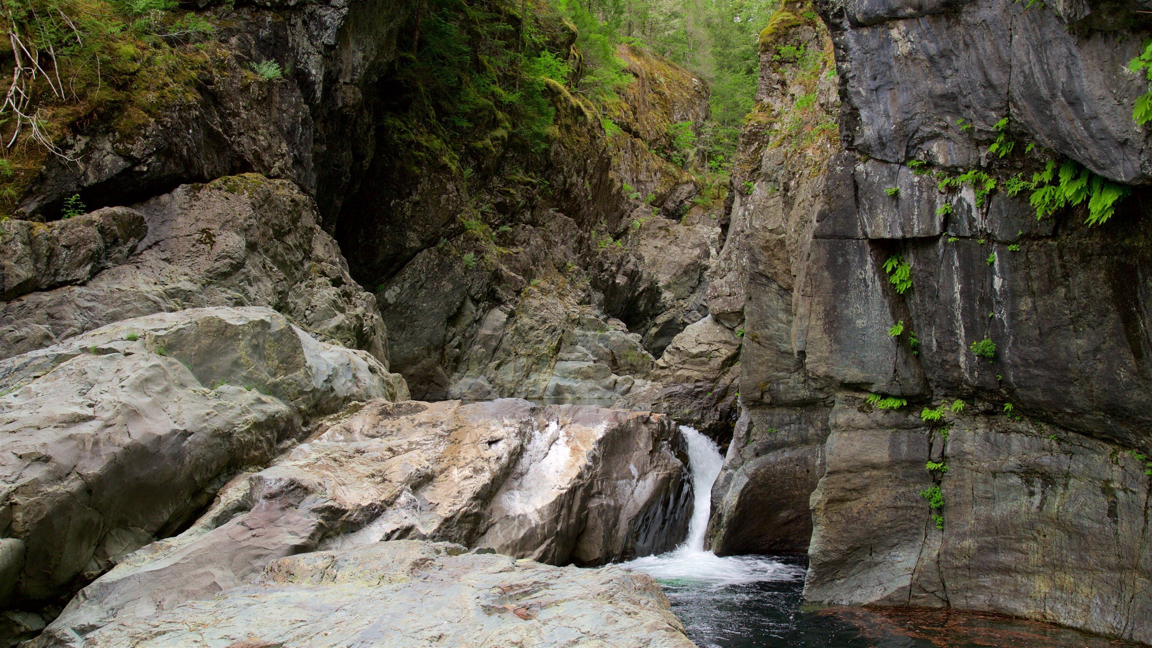 Sooke Potholes Provincial Park フィーチャー 滝
