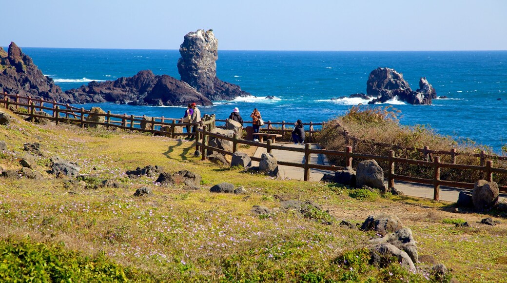 Jeju Island showing landscape views, rugged coastline and a coastal town