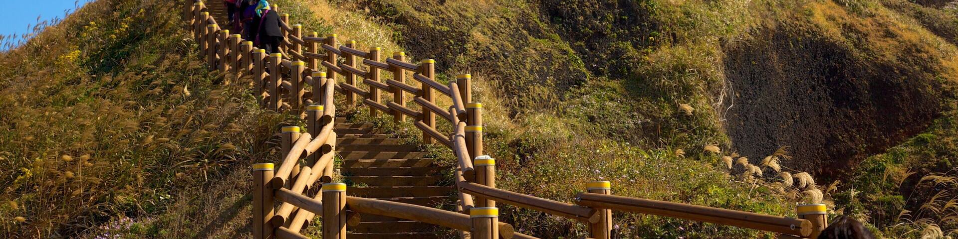 Una escalera de madera que sube una colina, con un faro en la cima.