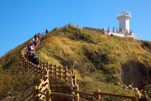 Eine Holztreppe führt einen Hügel hinauf, auf dessen Spitze sich ein Leuchtturm befindet.