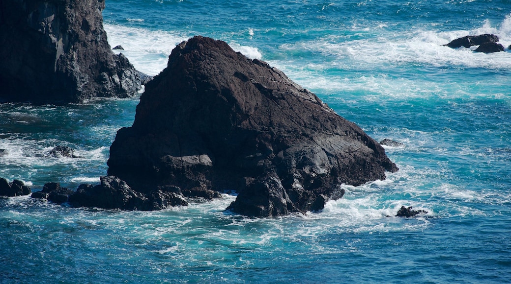 Jeju Island featuring rugged coastline and general coastal views