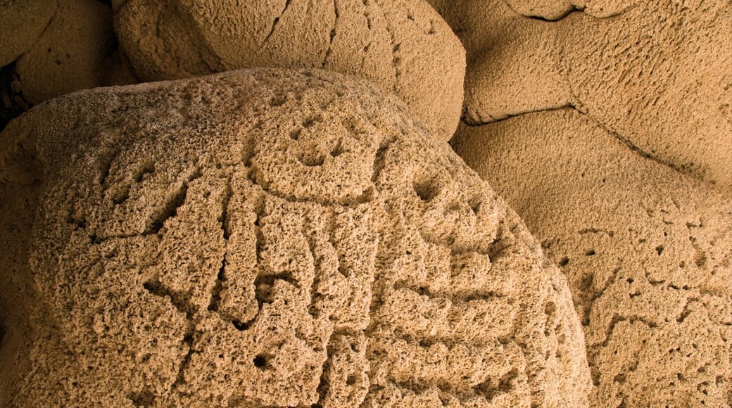 Dominican Republic showing outdoor art