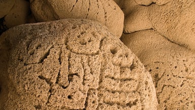 Dominican Republic showing outdoor art