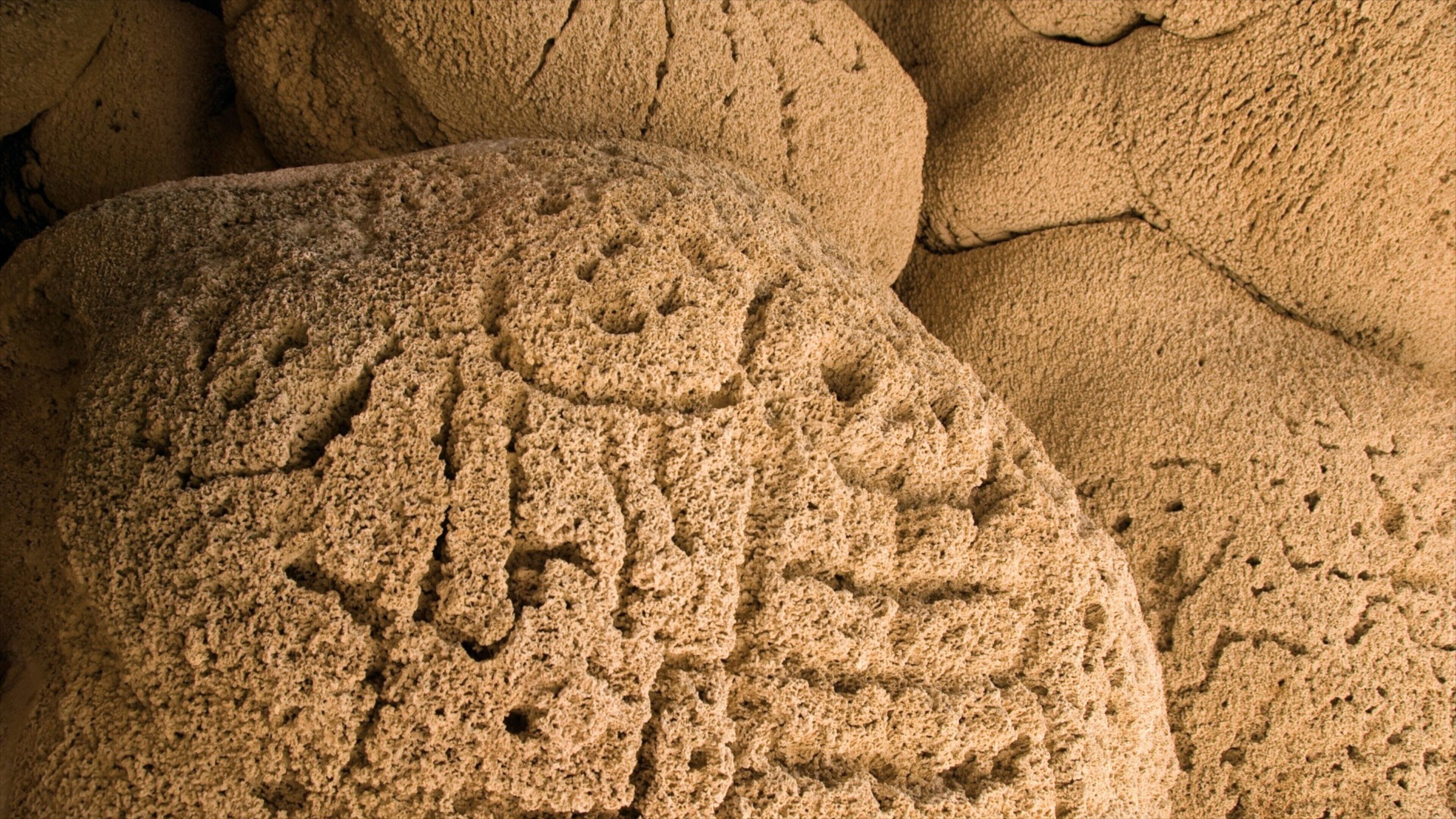 A close-up of a large, textured rock with carved patterns.