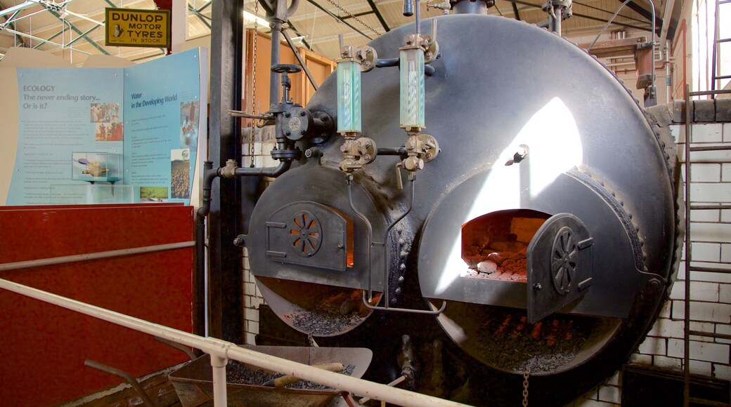 レスター フィーチャー 屋内の眺め