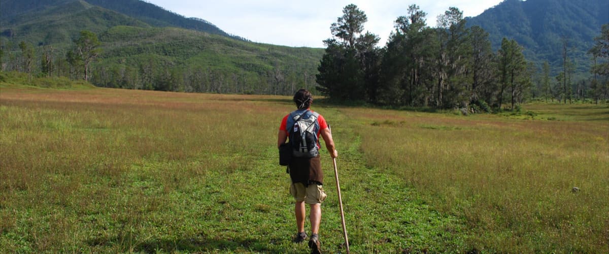 Dominican Republic showing tranquil scenes and hiking or walking as well as an individual male