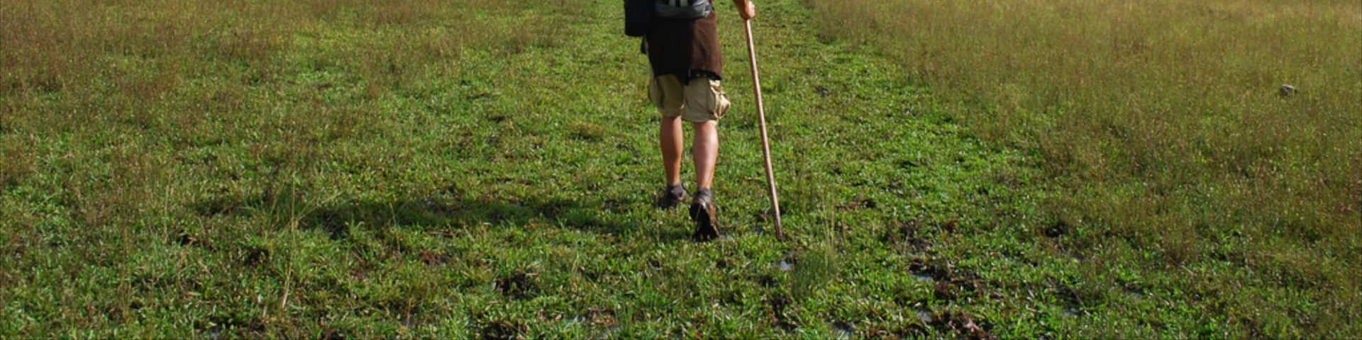 Dominican Republic showing tranquil scenes and hiking or walking as well as an individual male