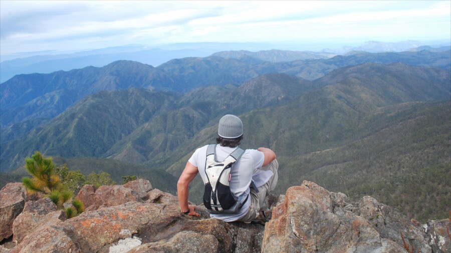 Pico Duarte featuring mountains and hiking or walking as well as an individual male