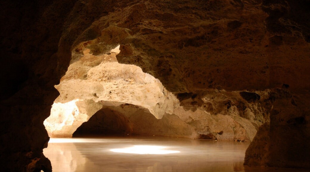 Cueva de las Maravillas National Park showing interior views and caves