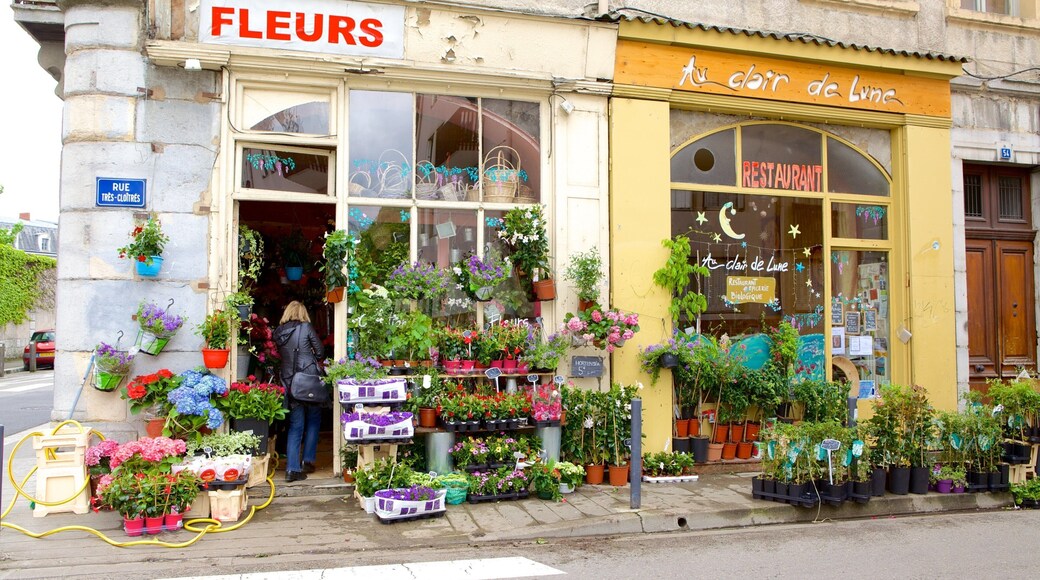 Grenoble som inkluderer gatescener, shopping og blomster