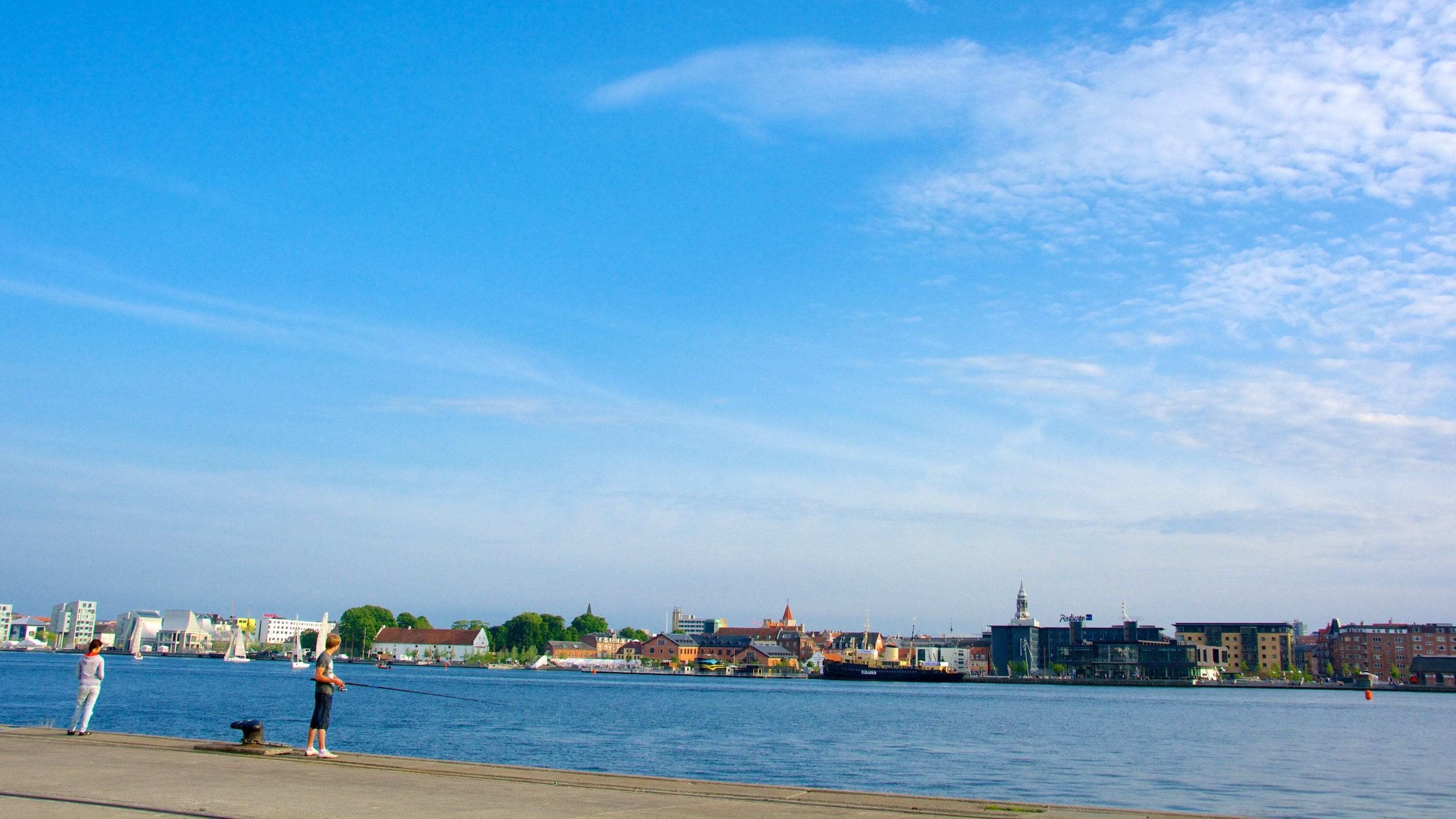 Ålborg toont een baai of haven, een kuststadje en vissen