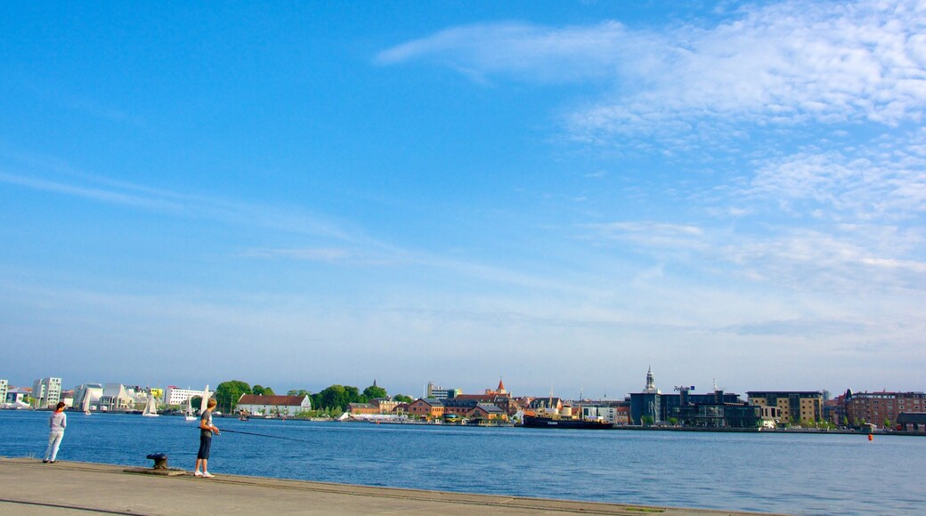 Ålborg toont een baai of haven, een kuststadje en vissen