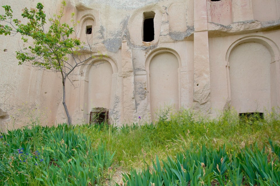 A weathered building with arched doorways and windows, overgrown with vegetation.