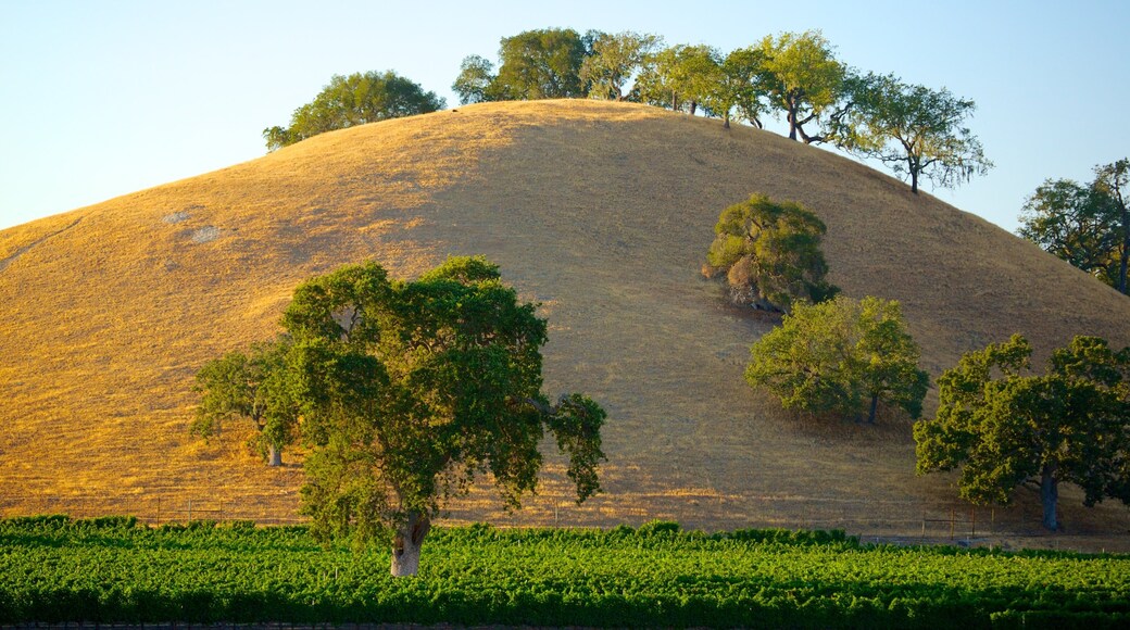 Santa Barbara Wine Country which includes tranquil scenes and a sunset