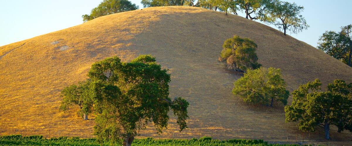 Santa Barbara Wine Country which includes tranquil scenes and a sunset