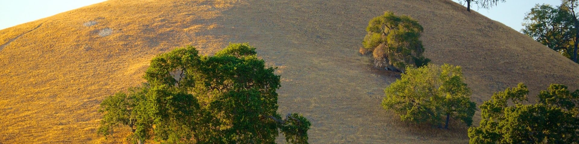 Santa Barbara Wine Country which includes tranquil scenes and a sunset