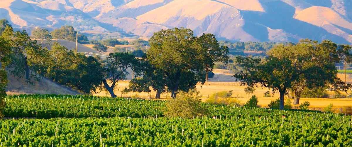 Santa Barbara Wine Country Hotel Guide