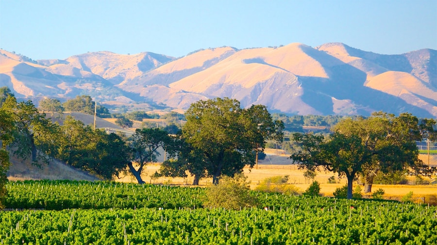 Santa Barbara Wine Country