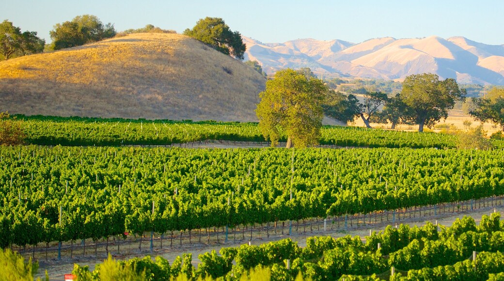 Santa Barbara Wine Country showing farmland
