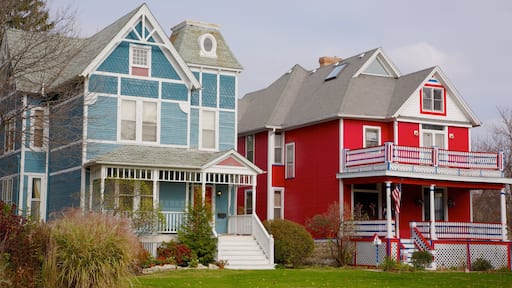 Explore the unique architectural styles of Frank Lloyd Wright Historic District in Oak Park, Illinois showcasing vibrant colors and intricate designs