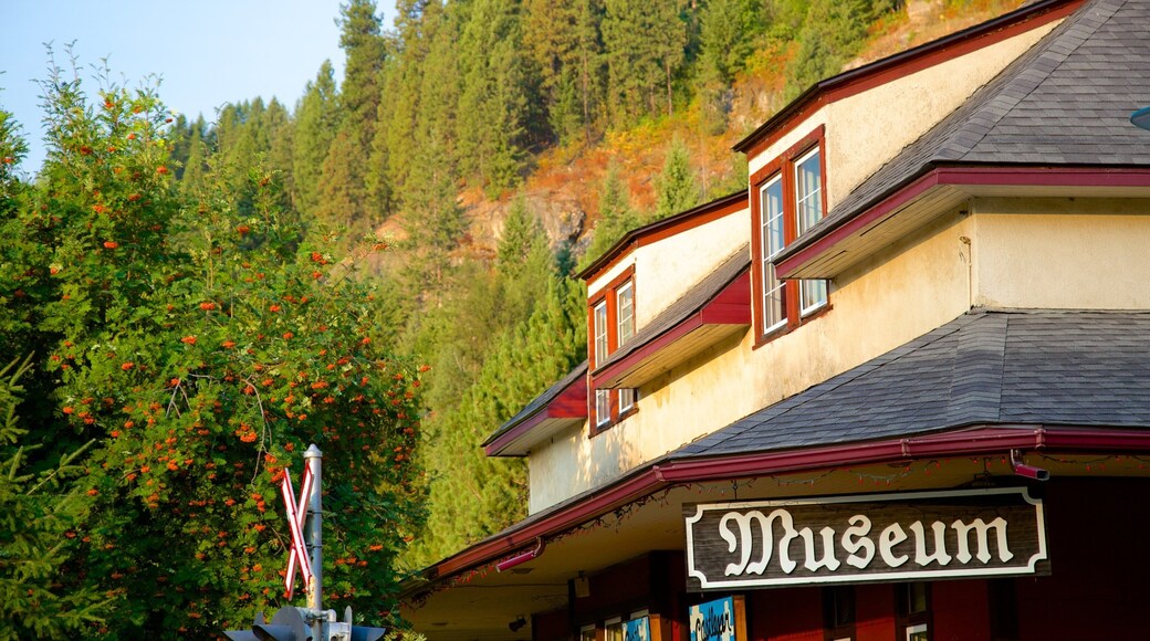 Castlegar showing signage and heritage architecture