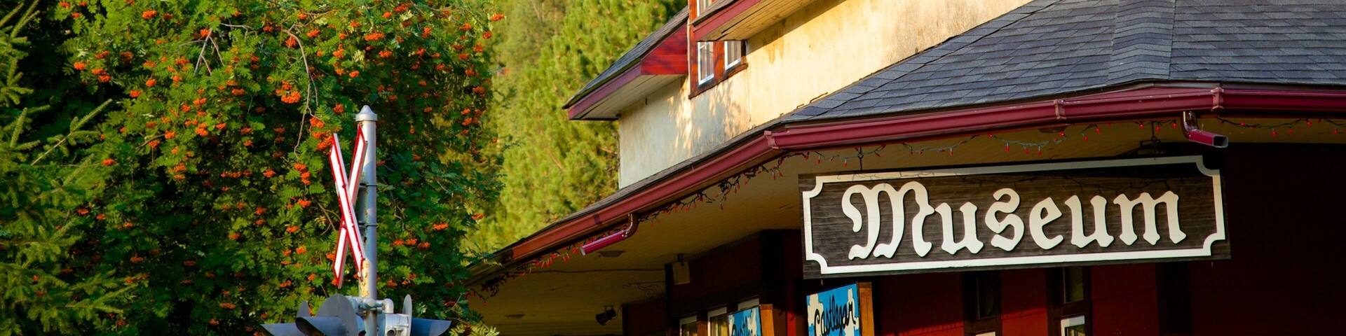 Castlegar featuring signage and heritage architecture