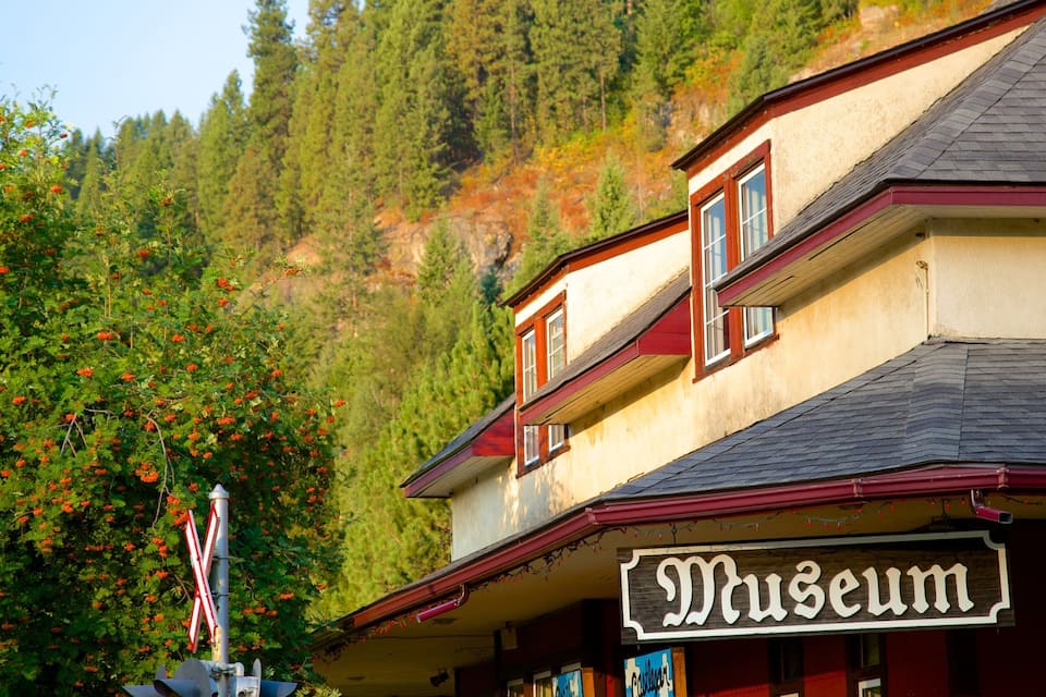 Un edificio con un cartel que dice 'Museum', rodeado de árboles y una ladera boscosa.