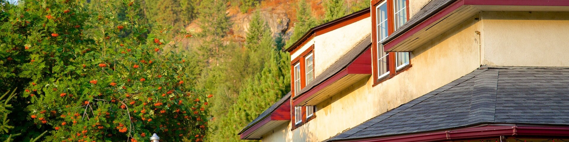 Castlegar caracterizando sinalização e arquitetura de patrimônio