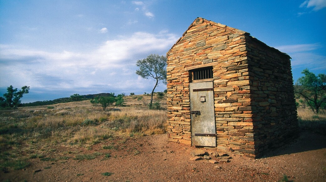 Alice Springs showing tranquil scenes and a house