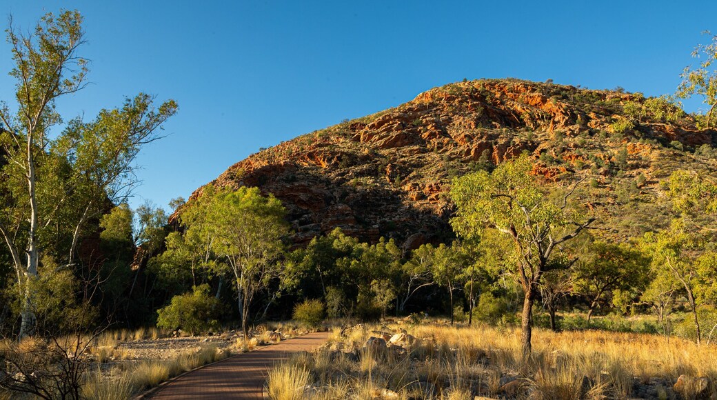 Ellery Creek Big Hole featuring mountains and desert views