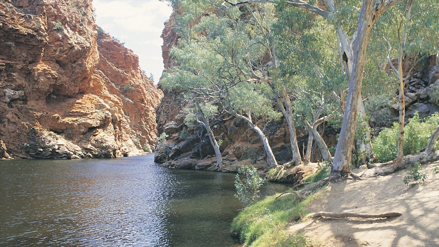 Alice Springs showing a lake or waterhole and a gorge or canyon