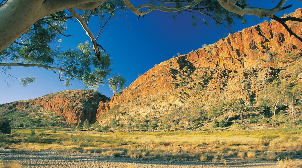 Alice Springs welches beinhaltet Schlucht oder Canyon und Wüstenblick