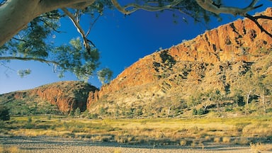 Alice Springs som inkluderer ørkenutsikt og kløft eller juv