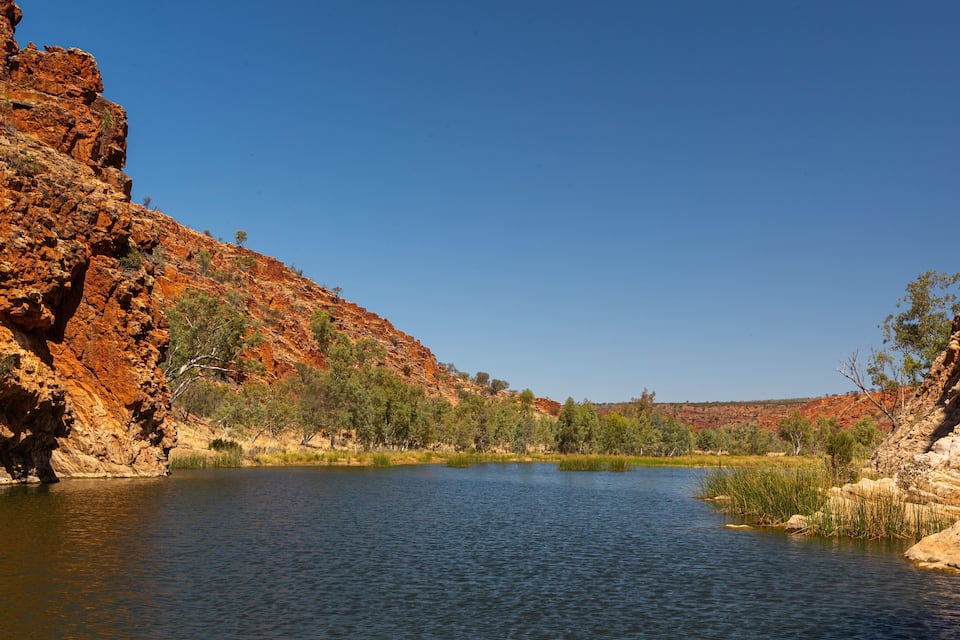 Un río serpenteando por un cañón con acantilados de roca roja y vegetación verde.