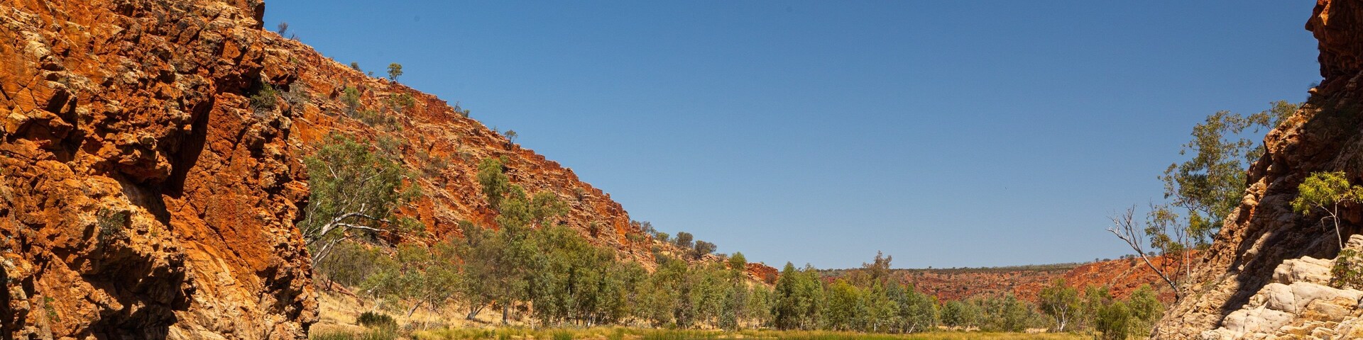 Glen Helen Gorge which includes a gorge or canyon, a river or creek and a lake or waterhole