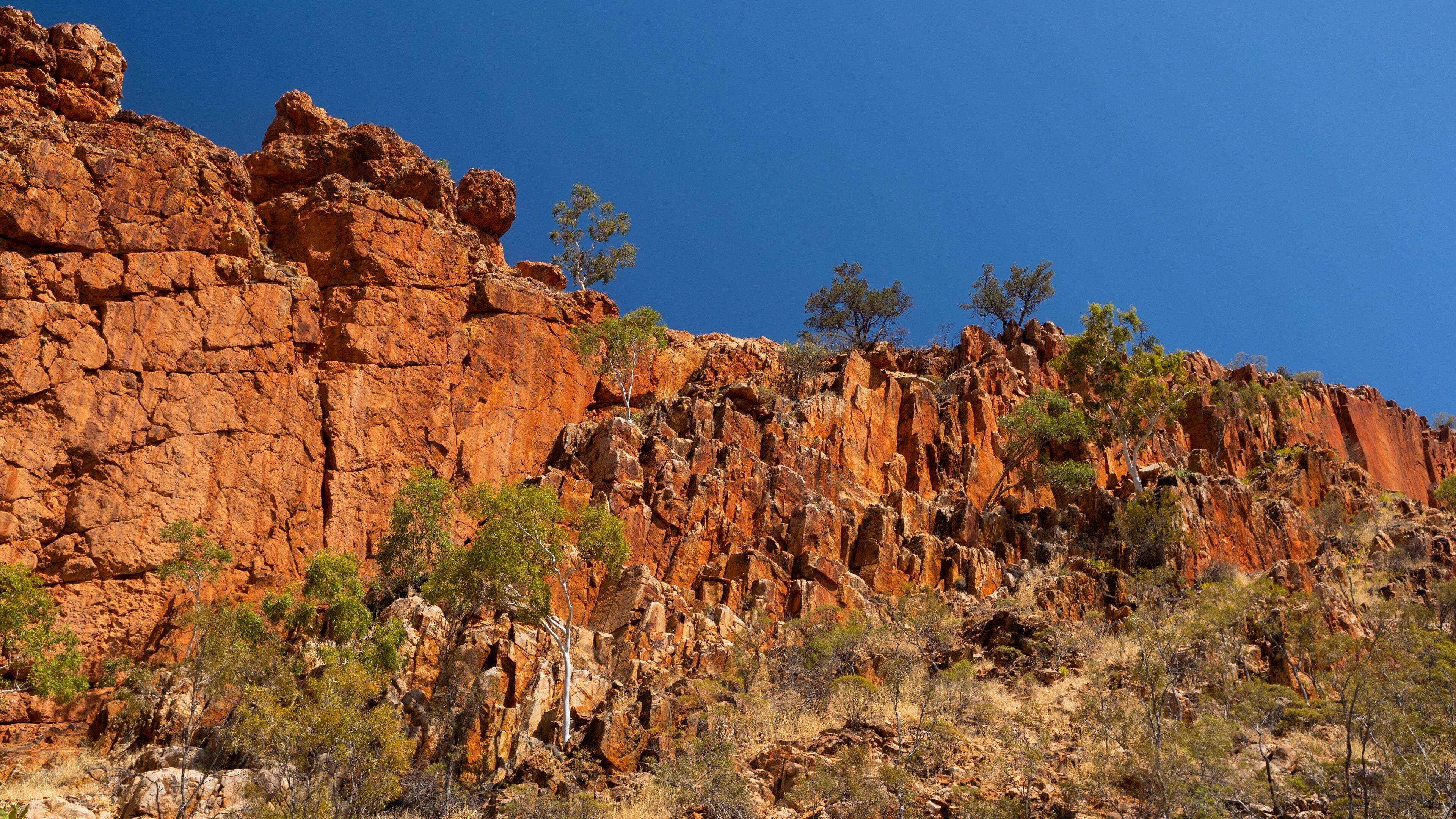 Glen Helen Gorge showing a gorge or canyon and desert views