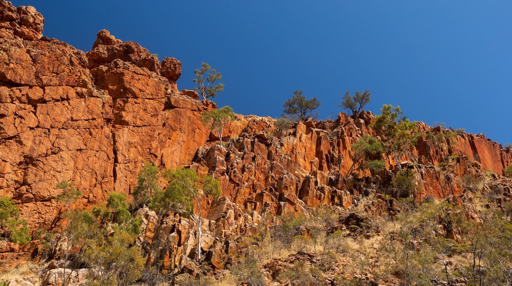 Glen Helen Gorge showing a gorge or canyon and desert views