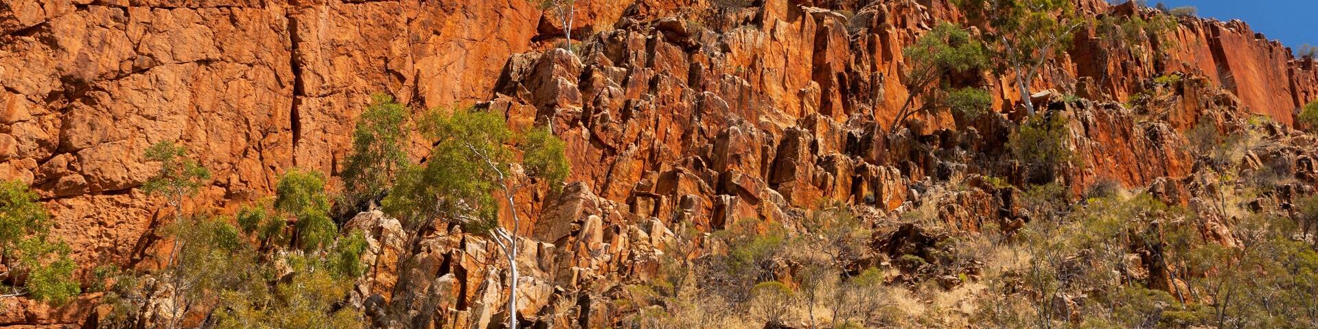 Glen Helen Gorge showing a gorge or canyon and desert views