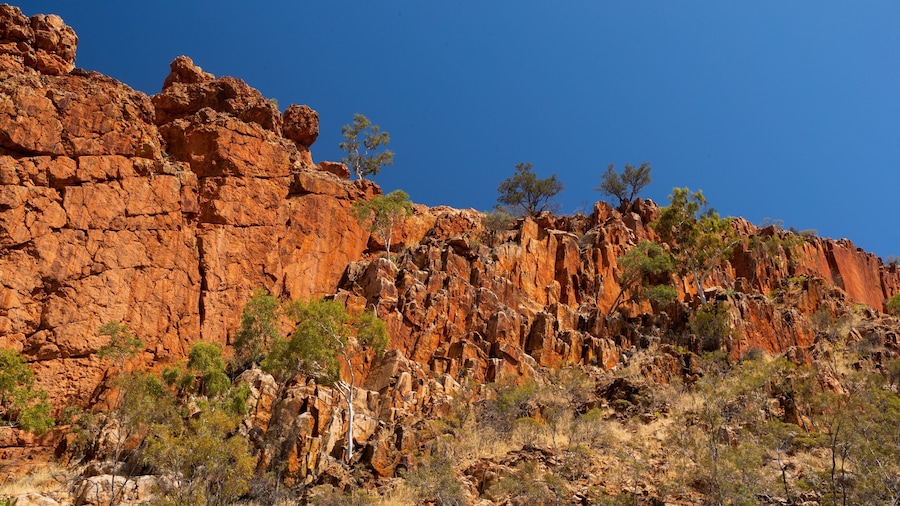 Glen Helen Gorge showing a gorge or canyon and desert views