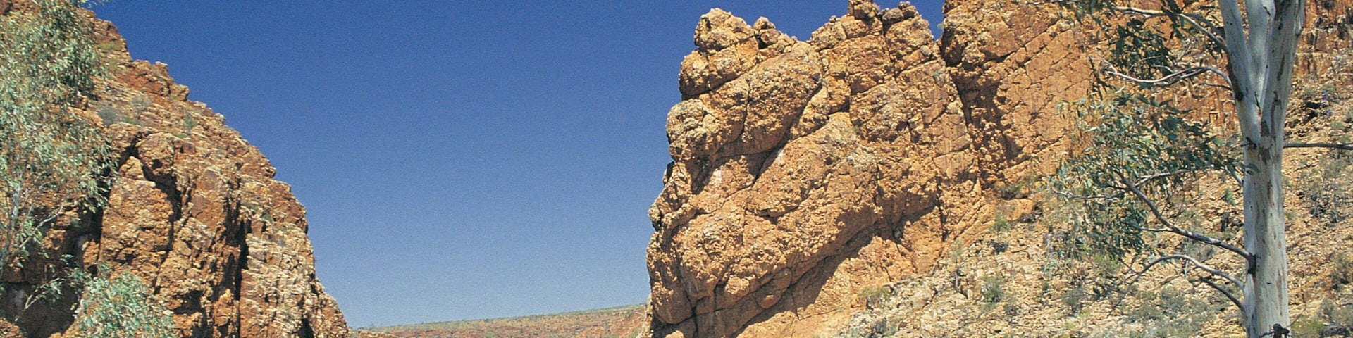 Alice Springs which includes a lake or waterhole and a gorge or canyon