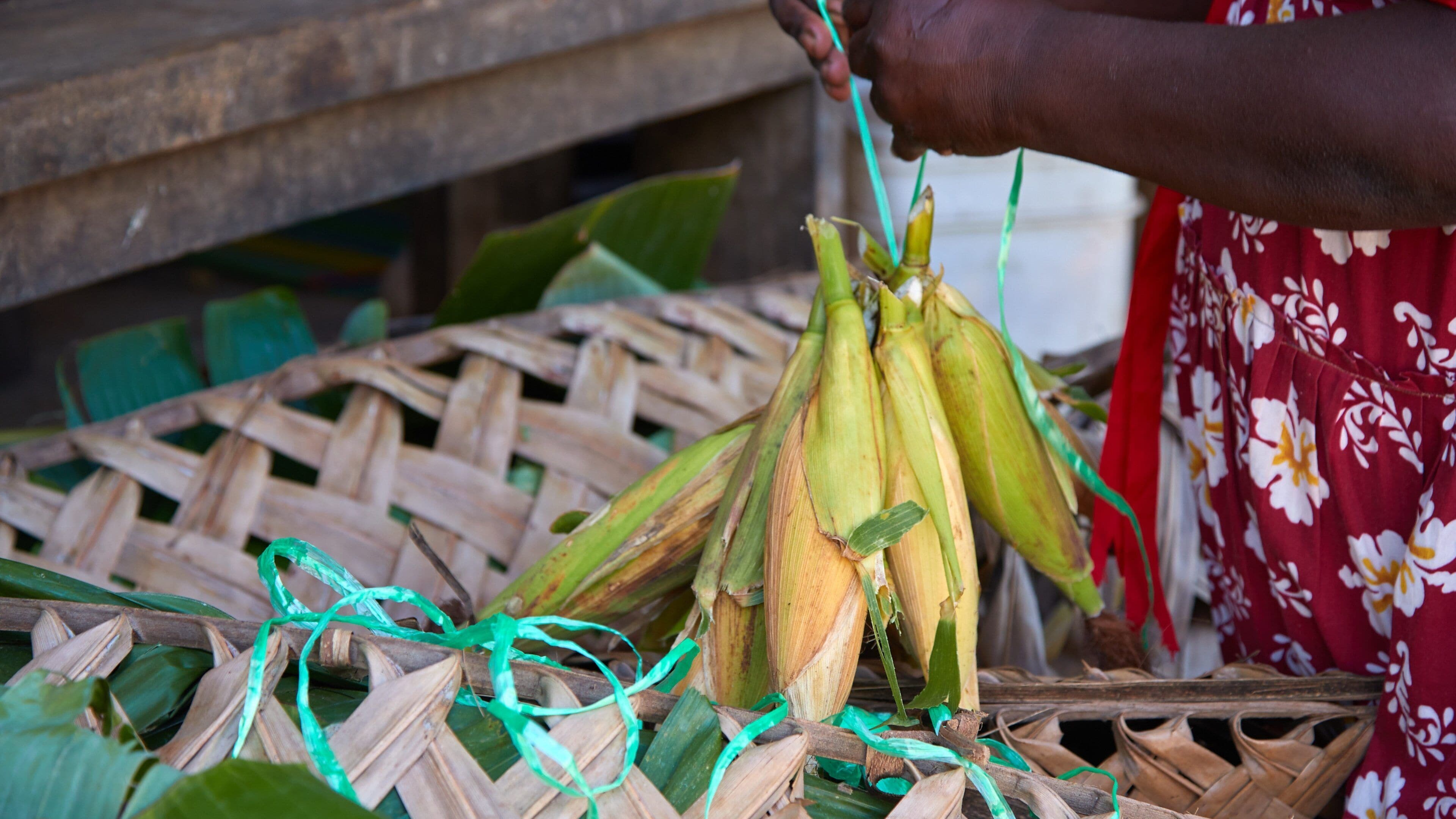 A woven basket with corn cobs tied with green string.