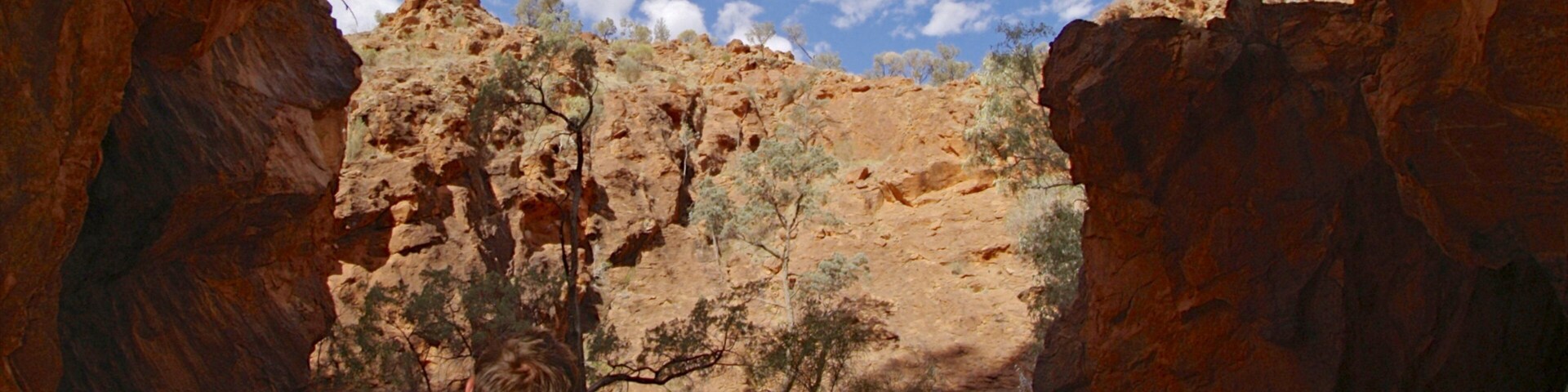 Alice Springs which includes a gorge or canyon
