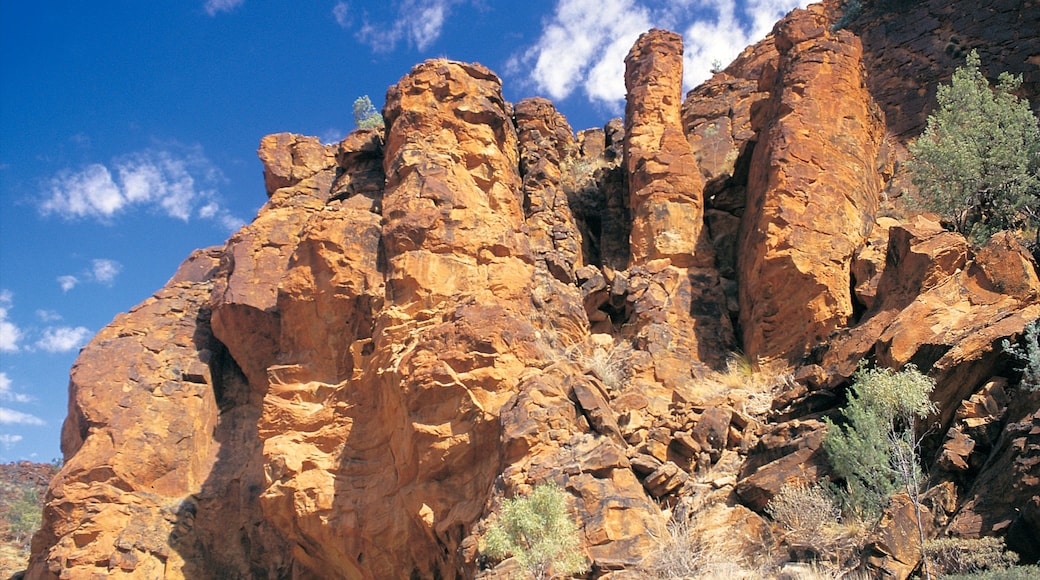 Alice Springs som viser en kløft eller slugt
