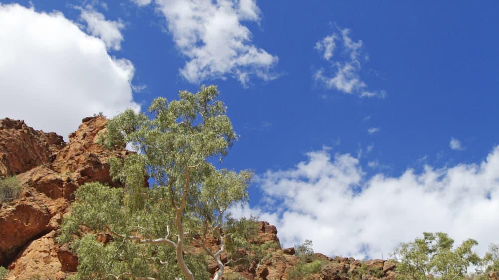 A rocky landscape with sparse vegetation and a clear blue sky with scattered clouds.